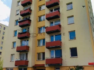Pronájem bytu 1+kk, České Budějovice, K. Chocholy, 21 m2