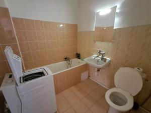 Pronájem bytu 1+1, Ostrava, Veleslavínova, 42 m2