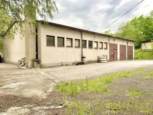 Pronájem skladu, Albrechtice, Hlavní, 612 m2
