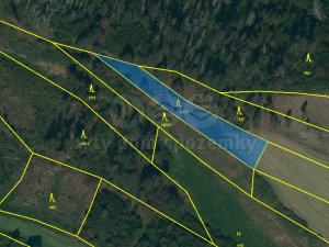 Prodej lesa, Střítež, 4100 m2