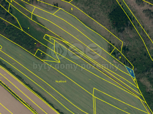 Prodej lesa, Střítež, 4100 m2