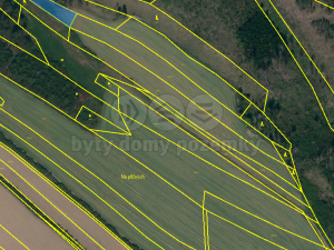 Prodej lesa, Střítež, 4100 m2