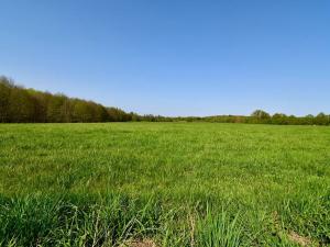 Prodej pozemku pro bydlení, Morašice, 655 m2