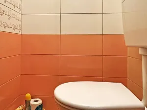 Prodej bytu 3+1, Lesonice, 73 m2