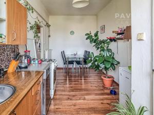 Pronájem bytu 2+1, České Budějovice, Dr. Tůmy, 80 m2