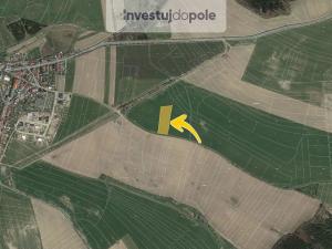 Prodej pole, Žďárná, 1726 m2
