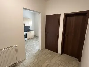 Pronájem bytu 1+1, Opava, Alšova, 55 m2