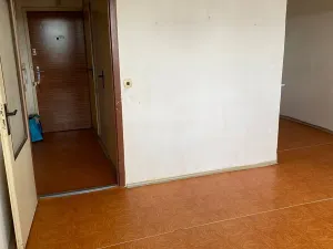 Prodej bytu 2+kk, Brno, Dunajská, 46 m2