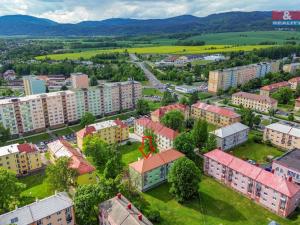 Prodej bytu 2+1, Ostrov, Šafaříkova, 55 m2