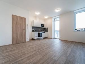 Pronájem bytu 1+kk, Mikulov, 33 m2