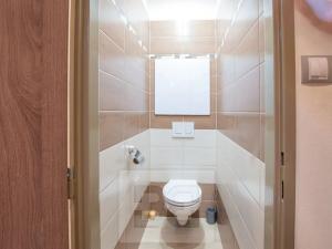 Pronájem bytu 3+kk, Plzeň, Francouzská třída, 52 m2