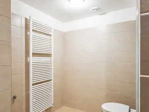 Pronájem bytu 2+kk, Plzeň, Železniční, 79 m2