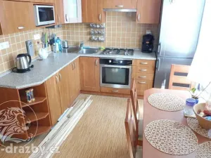 Dražba bytu 6+kk a větší, Plzeň, Francouzská třída, 133 m2