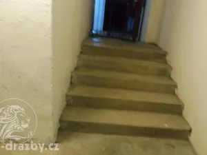 Dražba bytu 6+kk a větší, Plzeň, Francouzská třída, 133 m2