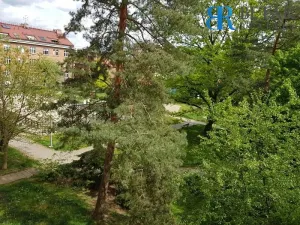 Pronájem bytu 2+1, Brno, Jílová, 67 m2