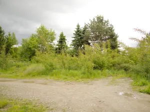 Prodej pozemku pro bydlení, Tábor, 1117 m2