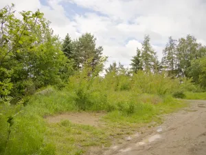 Prodej pozemku pro bydlení, Tábor, 1117 m2