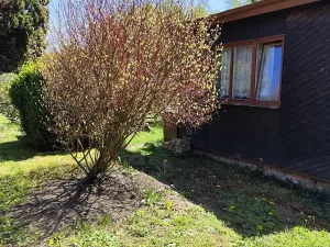 Prodej chaty, Karlovy Vary, 22 m2