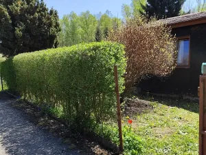 Prodej chaty, Karlovy Vary, 22 m2