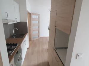 Pronájem bytu 2+1, Praha - Nusle, Plamínkové, 50 m2