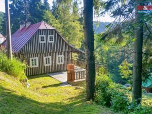 Prodej chalupy, Kořenov, 130 m2