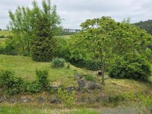 Prodej chalupy, Dolní Hbity, 206 m2