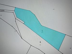 Prodej lesa, Milý, 7670 m2