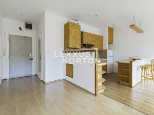 Prodej bytu 2+kk, Praha - Žižkov, Hartigova, 55 m2