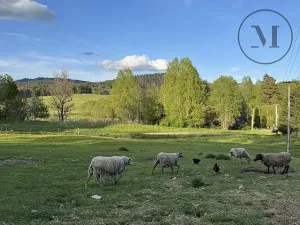 Prodej ubytování, Nová Pec, 530 m2