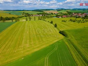 Prodej louky, Blížejov, 2373 m2