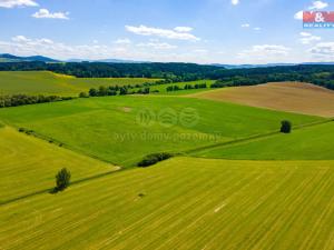 Prodej louky, Blížejov, 2373 m2