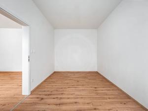Prodej bytu 2+kk, České Budějovice, Hosínská, 51 m2