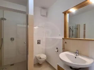 Pronájem bytu 2+kk, České Budějovice, U Lučního jezu, 47 m2