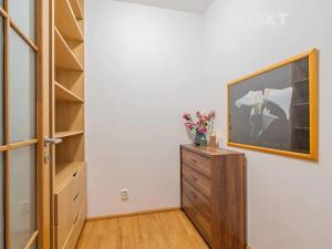 Prodej bytu 2+kk, České Budějovice, U Lučního jezu, 54 m2