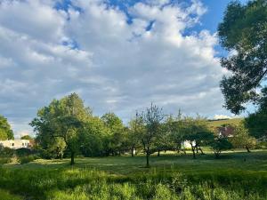 Prodej zahrady, Bílovec, 1012 m2