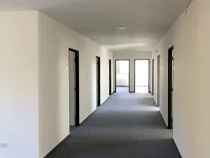 Pronájem kanceláře, Praha - Braník, Nad lesním divadlem, 169 m2