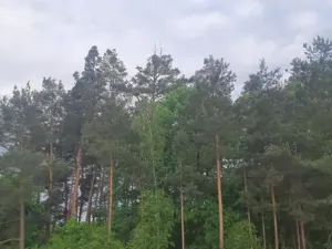 Prodej pozemku, Horní Jelení, 2133 m2