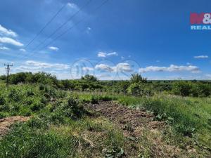 Prodej pozemku pro bydlení, Hrušovany, 30076 m2