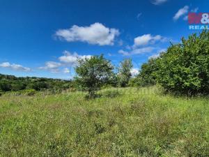 Prodej pozemku pro bydlení, Hrušovany, 30076 m2