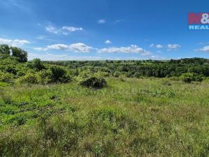 Prodej pozemku pro bydlení, Hrušovany, 30076 m2