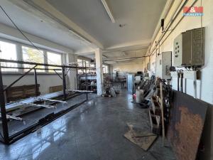 Prodej obchodního prostoru, Nové Sedlo, Masarykova, 408 m2