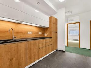 Pronájem kanceláře, Praha - Libeň, Na žertvách, 257 m2