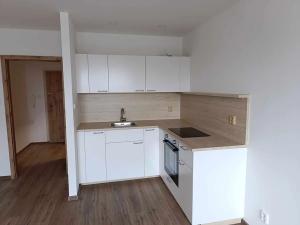 Pronájem bytu 1+kk, Frýdek-Místek, Československé armády, 30 m2