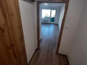 Pronájem bytu 1+kk, Frýdek-Místek, Československé armády, 30 m2