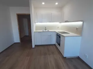 Pronájem bytu 1+kk, Frýdek-Místek, Československé armády, 30 m2