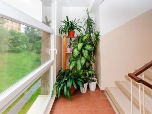 Prodej bytu 2+1, Praha - Malešice, Skřivanská, 51 m2