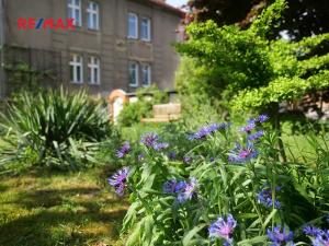 Prodej obchodního prostoru, Plzeň, Plzenecká, 120 m2