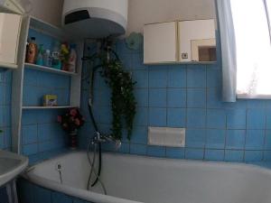 Prodej rodinného domu, České Budějovice, Hálkova, 256 m2