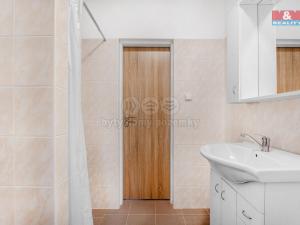 Pronájem bytu 1+kk, Plazy, 24 m2