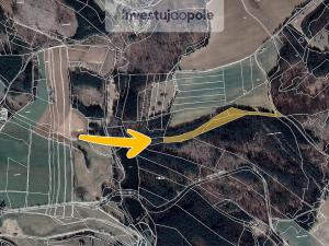 Prodej lesa, Volfířov - Brandlín, 13682 m2